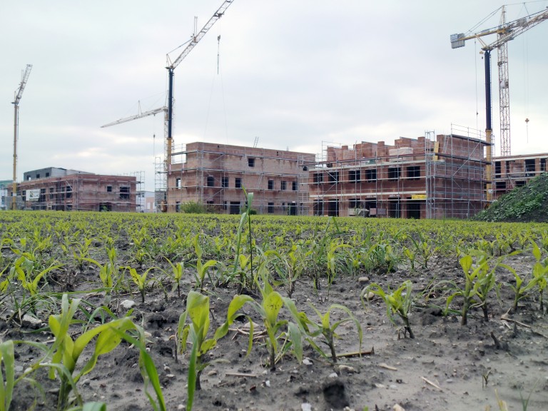 Baustelle hinter dem Maisfeld