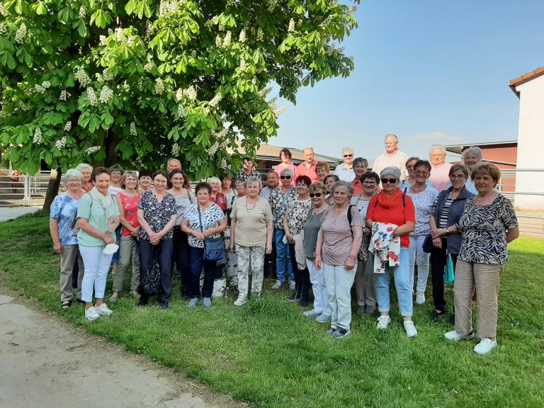 Gruppenbild Landfrauen Lehrfahrt Fränkisches Seenland