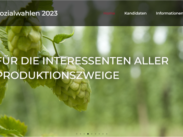 Website-Sozialwahlen-2023