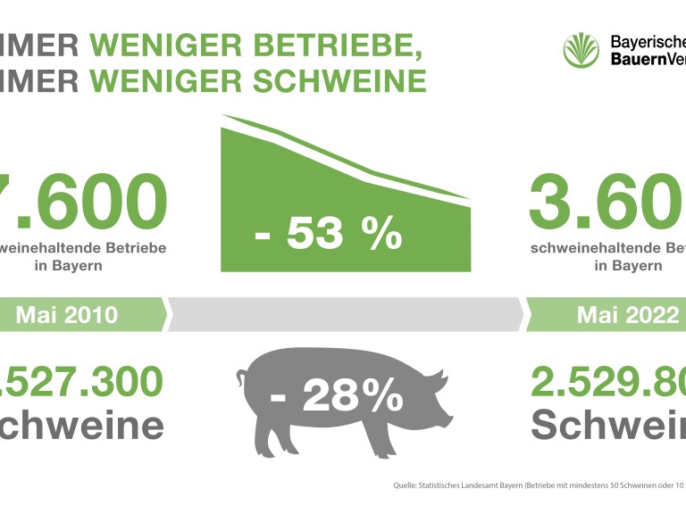 Schweine