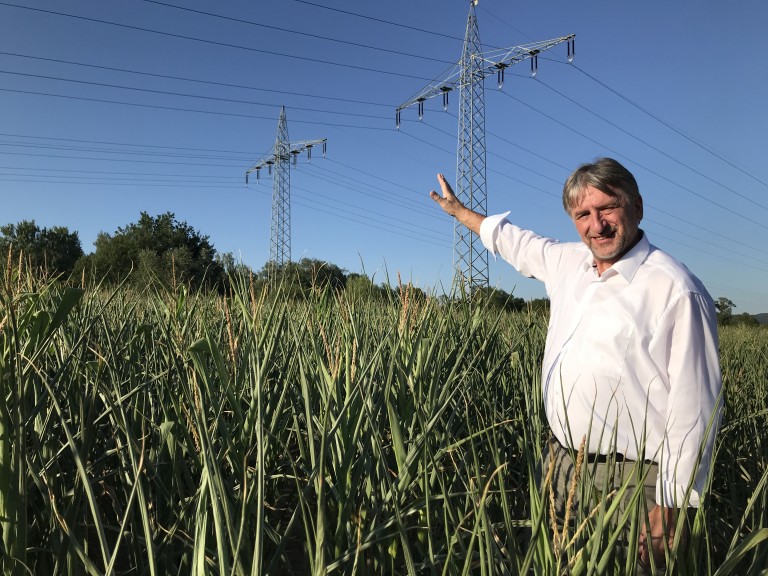 Günther Felßner Strommasten