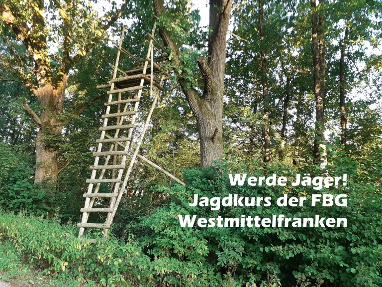 Jägerstand im Wald zwischen zwei eichen