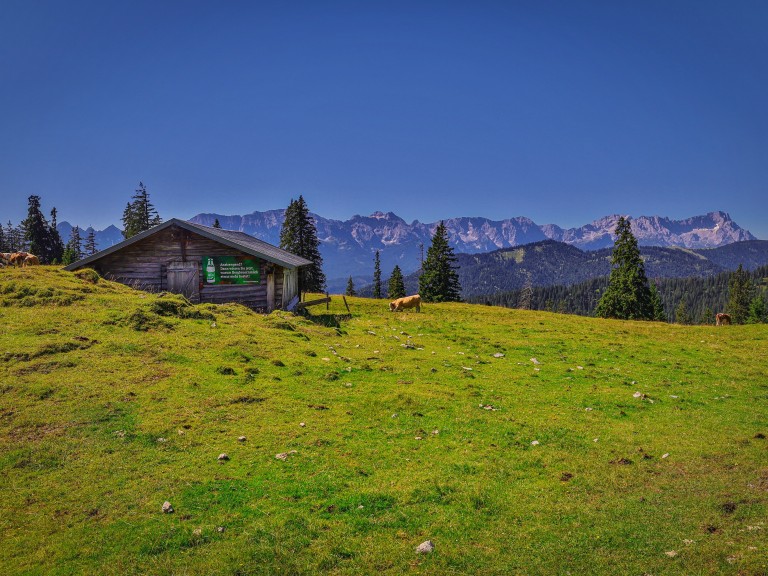 Krüner Alm 