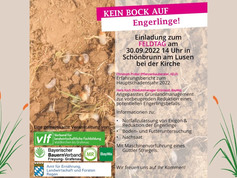 feldtag_frg_vlf.jpg