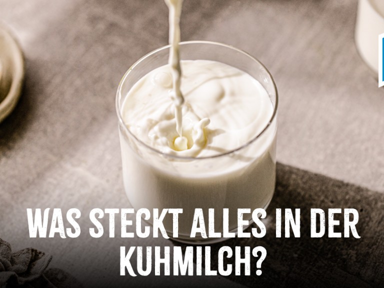 Das steckt in der Kuhmilch