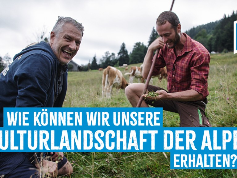 Wie können wir unsere Kulturlandschaft der Alpen erhalten?