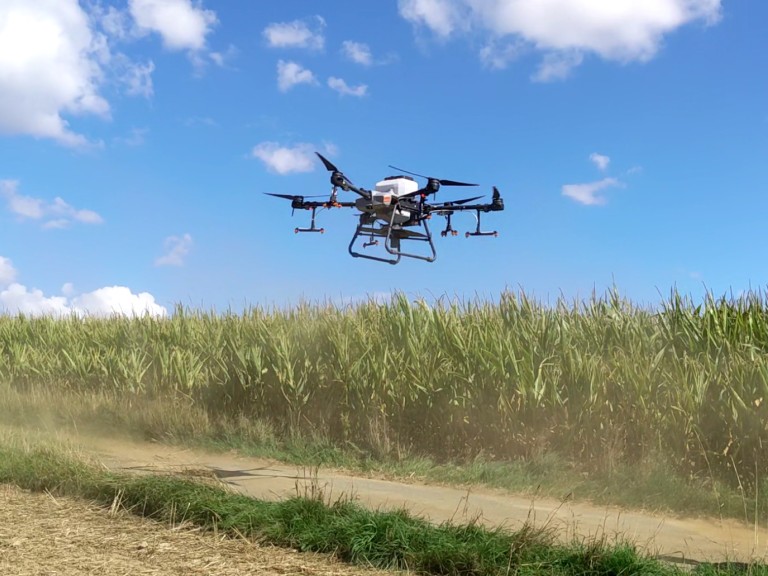 Einsatz Drohne Landwirtschaft