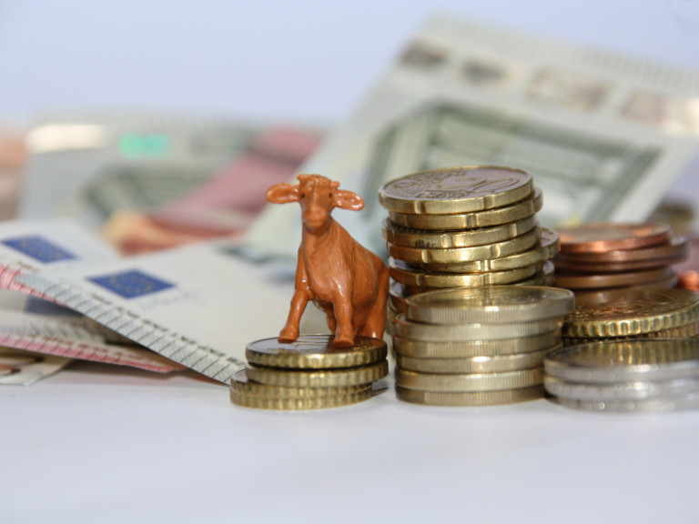 Geld und Kuh