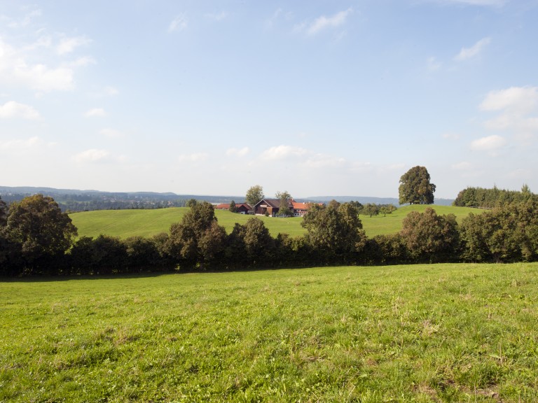 Hügellandschaft