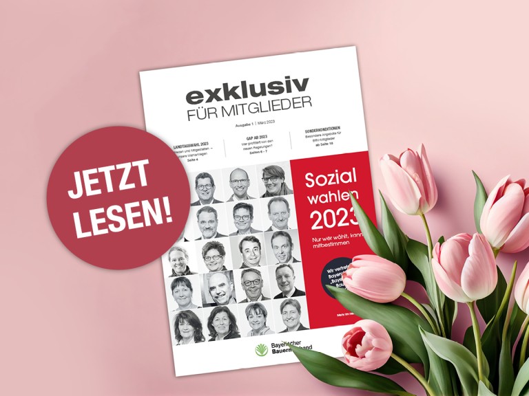 exklusiv 1/2023
