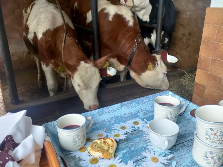 Kühe und Kaffee