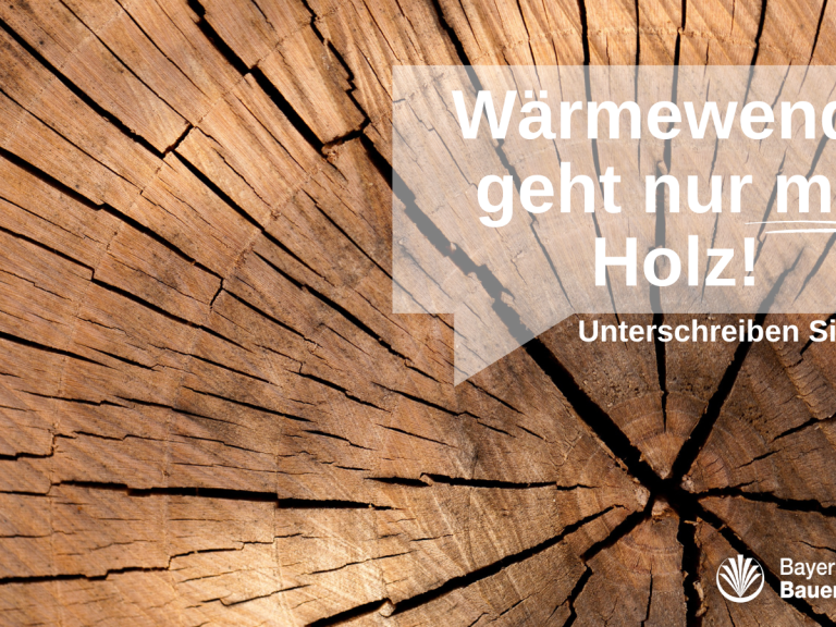 Wärmewende Holz