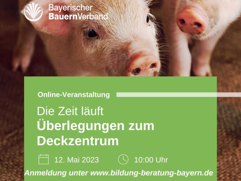 Onlineveranstaltung für Sauenhalter