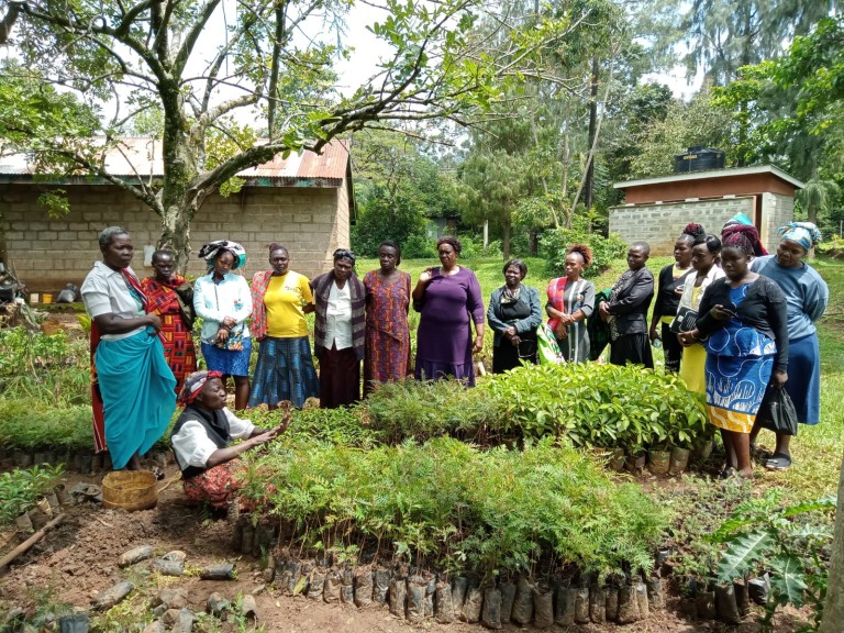 Kenia-Projekt Landfrauen