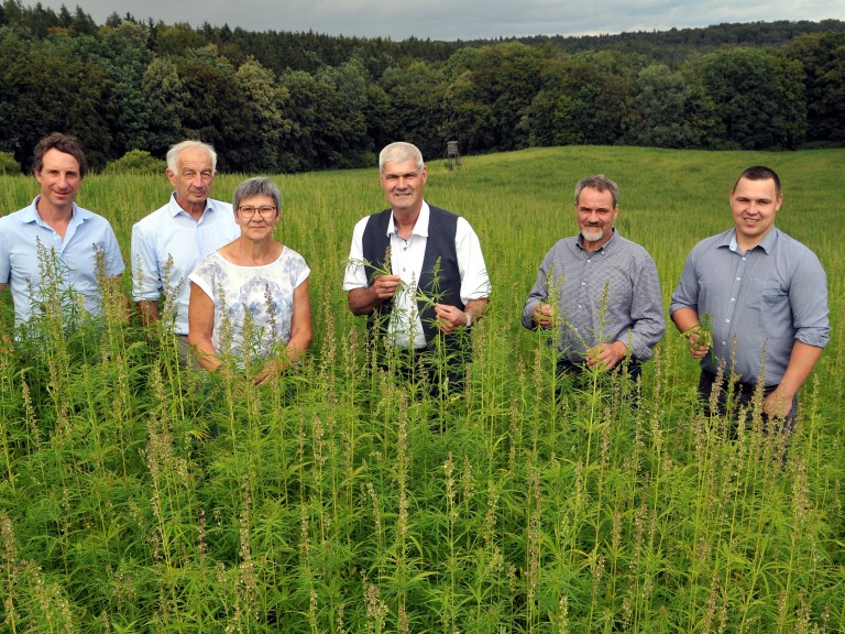 Die Vertreter des BBV am oberfränkischen Erntepressegespräch 2023 an einem Nutzhanf-Feld