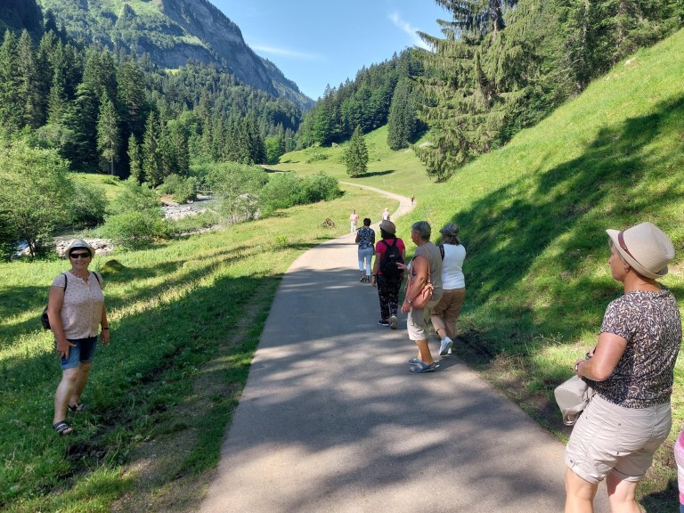 Bild der Wanderung auf die Alpe 