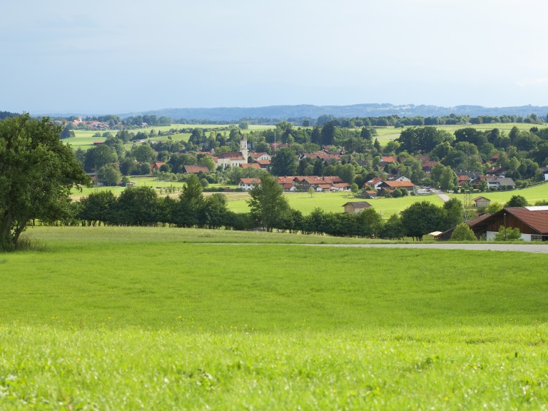 grüne Wiese mit einem Dorf im Hintergrund