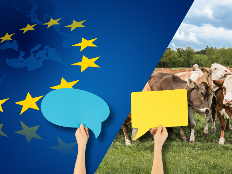 Bild EU-Flagge und Landwirtschaft