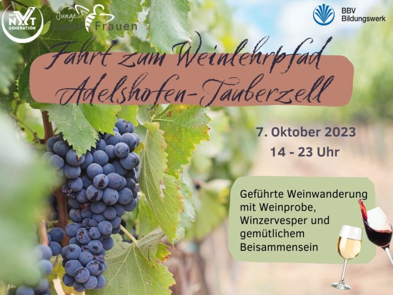 Busfahrt Weinwanderung