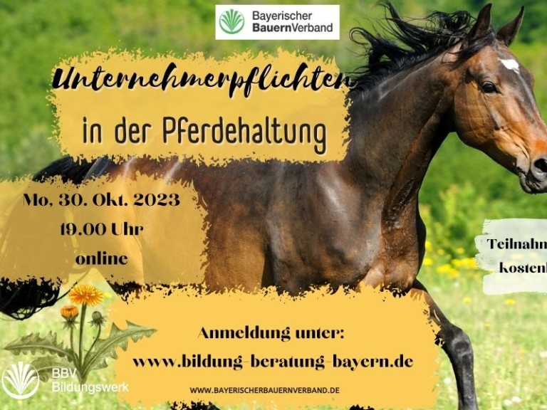 Online-Angebot