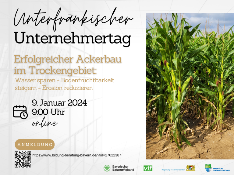 Unternehmertag 2024 - Online Seminar