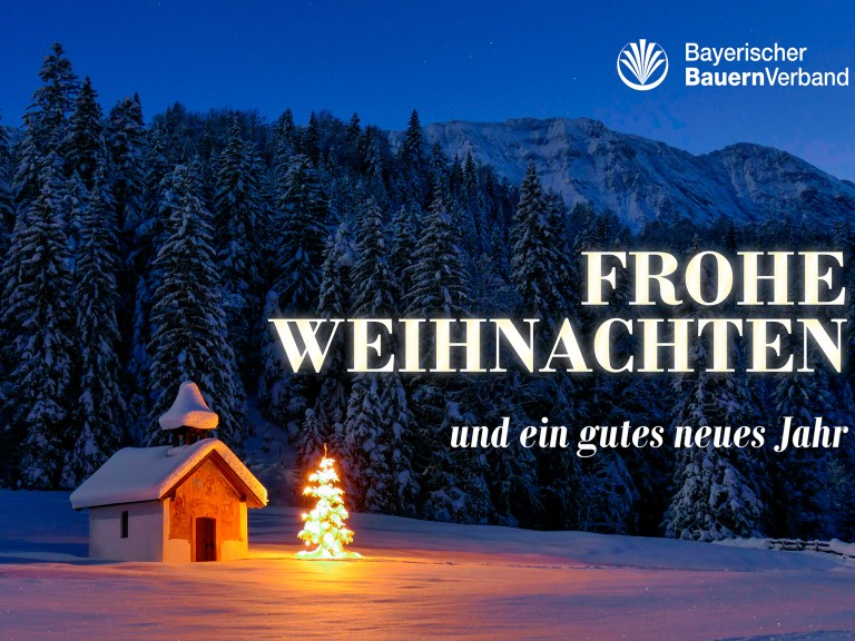 Weihnachtsgruß