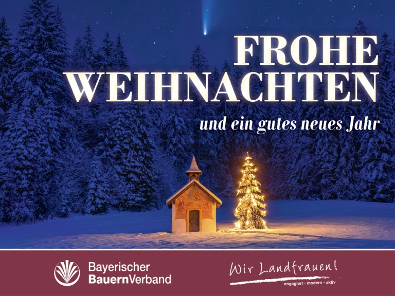 Frohe Weihnachten 2023