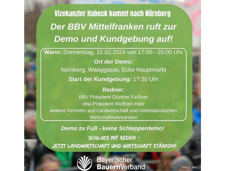 Demo Nürnberg 15.02.24