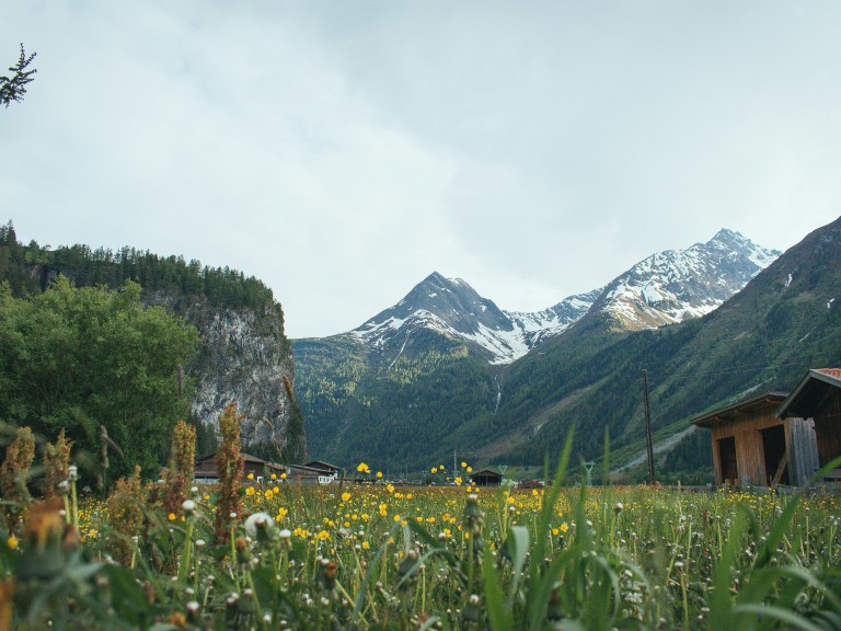 Landfrauenlehrfahrten 2024