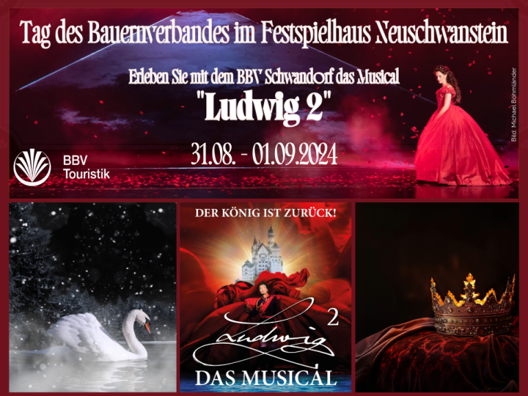 Musical "Ludwig2"
