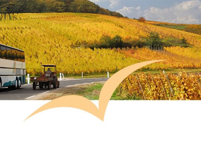 Landfrauen Lehrfahrt nach Landberg