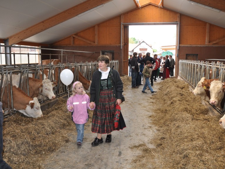 Besucher beim Tag des offenen Hofes im Rinderstall