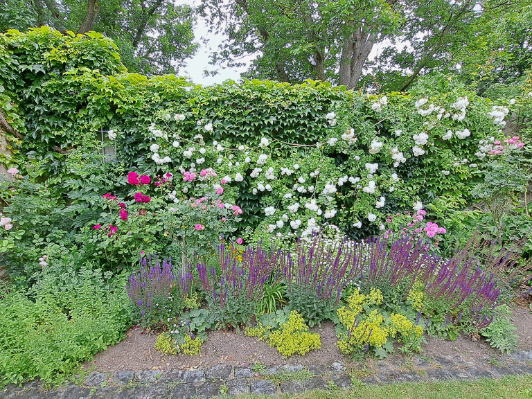 Rosengarten Bender