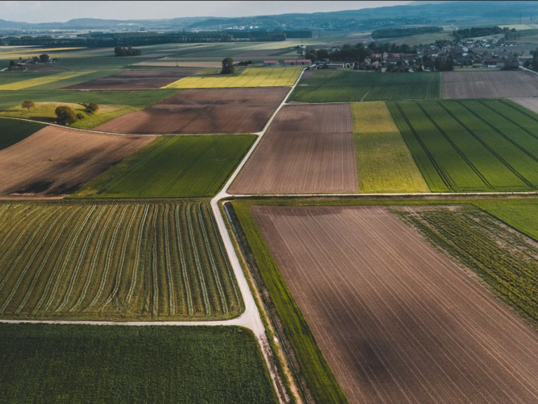 Landwirtschaft