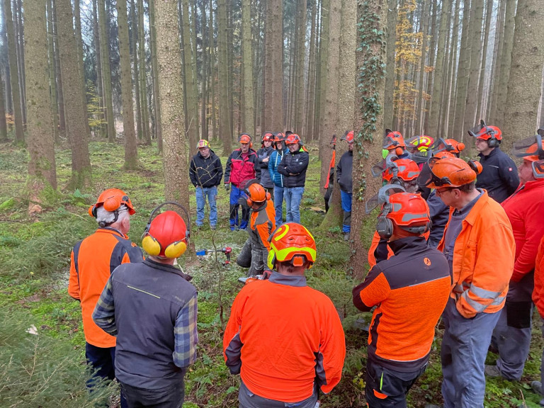 Waldbegehung