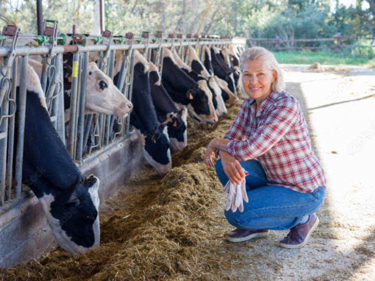 Landwirtschaft