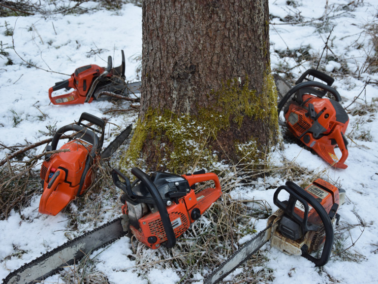 2025-01-11 Motorsägenkurs Sägen