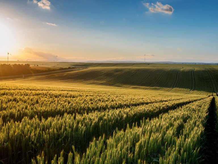 Vorstellung der Kartierung der Gewässerrandstreifen 