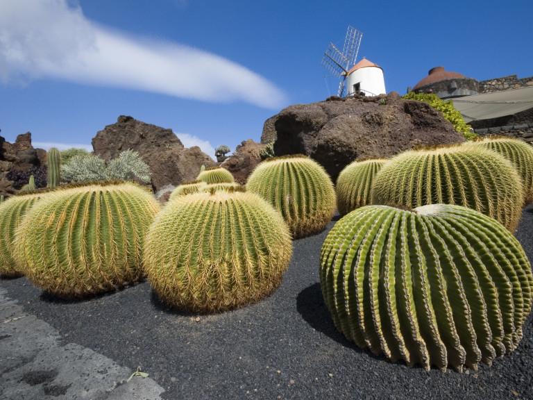 Lanzarote