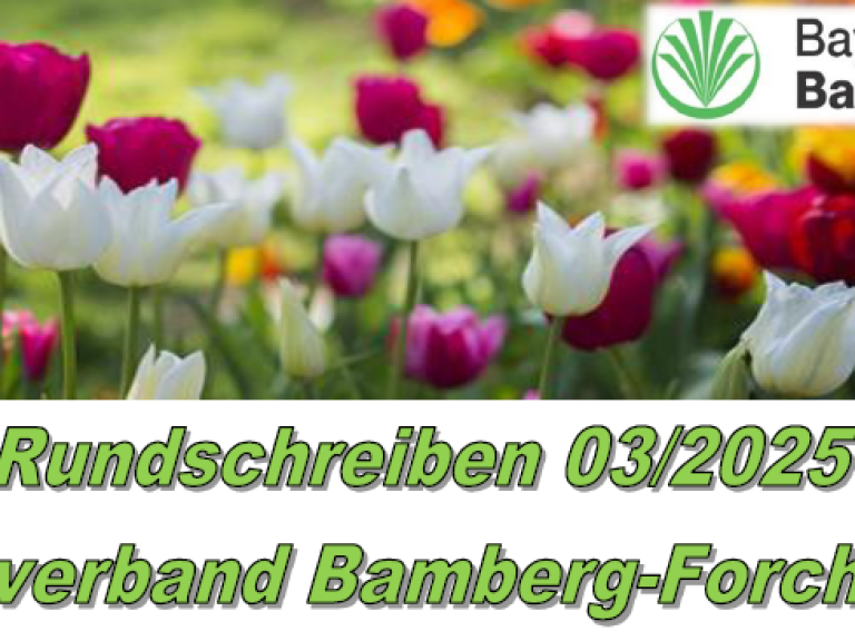 Runschreiben März 2025
