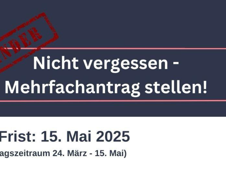 Mehrfachantrag