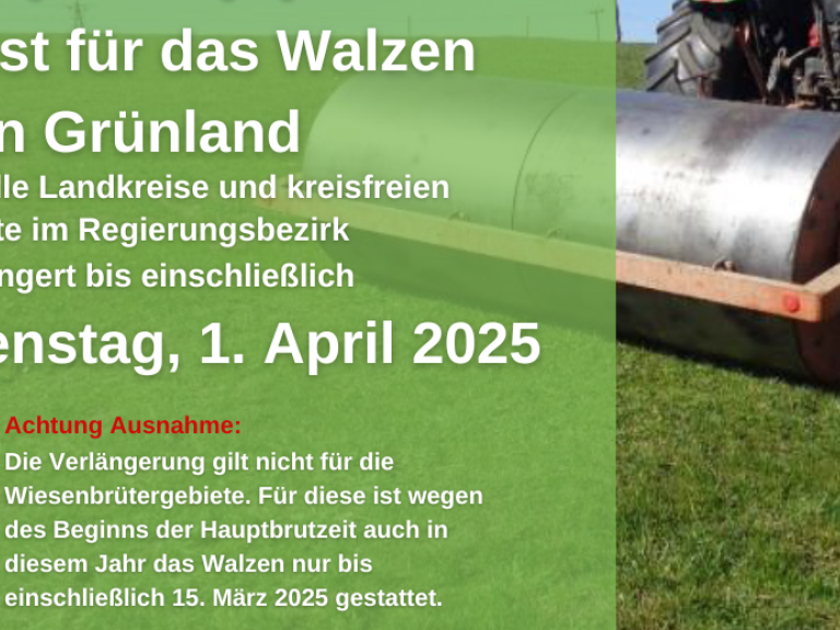 Walzverbot