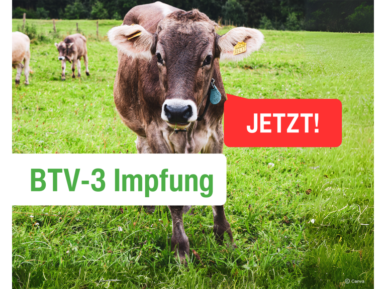 Impfaufruf
