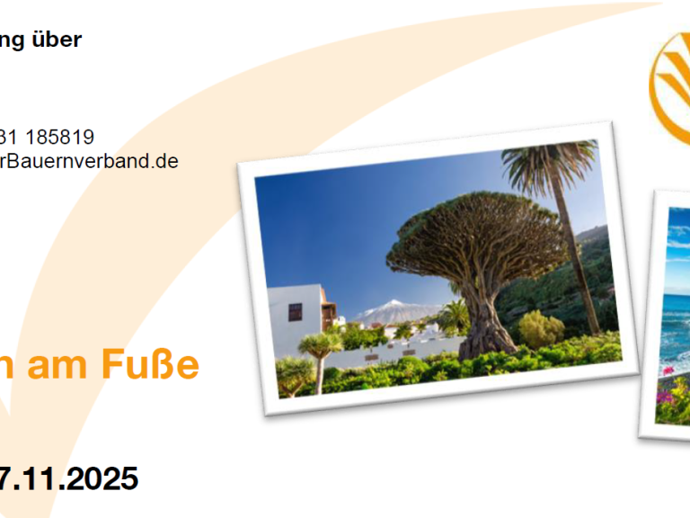 Flugreise nach Teneriffa - Tropengarten am Fuße des Teide