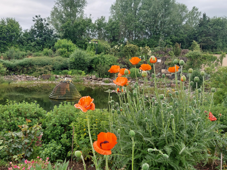 Naturparadies im Allgäu 