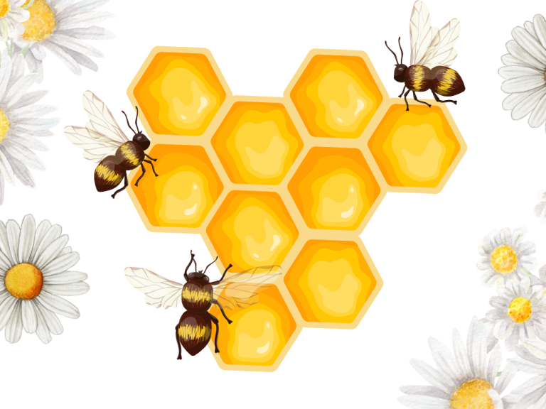 Bienen
