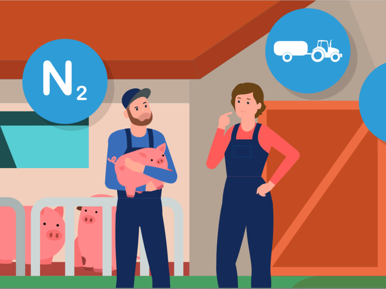 Klima-Schnellcheck SüdSchwein4Klima 
