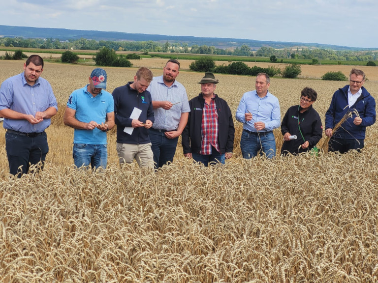 Erntepressegespräch am 28.07.2025, KV NEA-BW