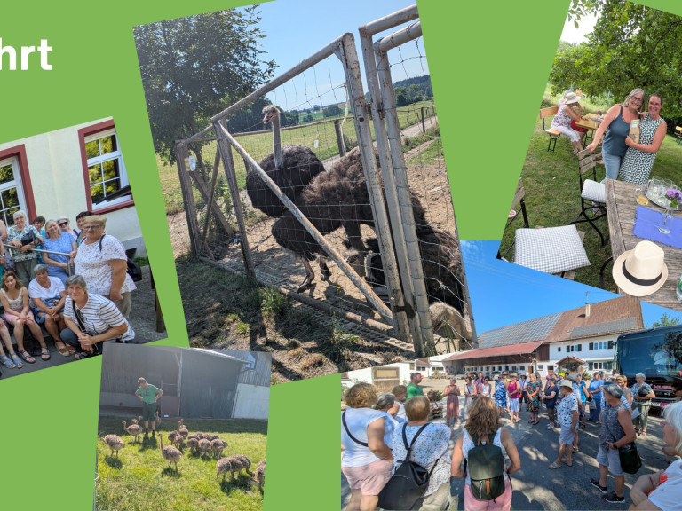 Impressionen der Sommerlehrfahrt 2025 