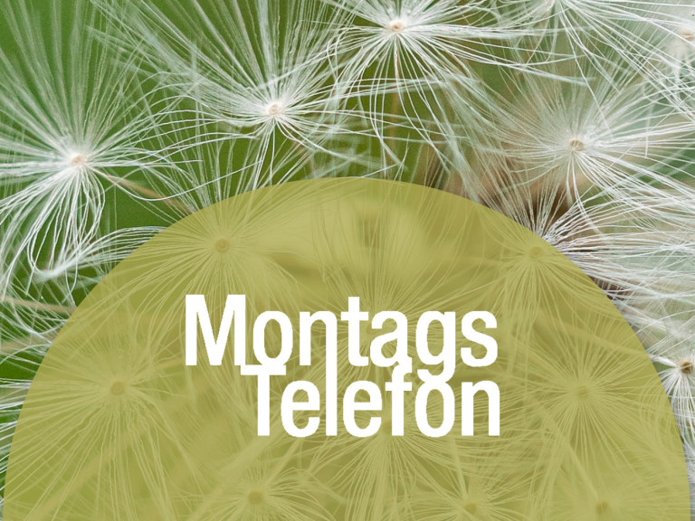 MontagsTelefon